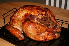turkey